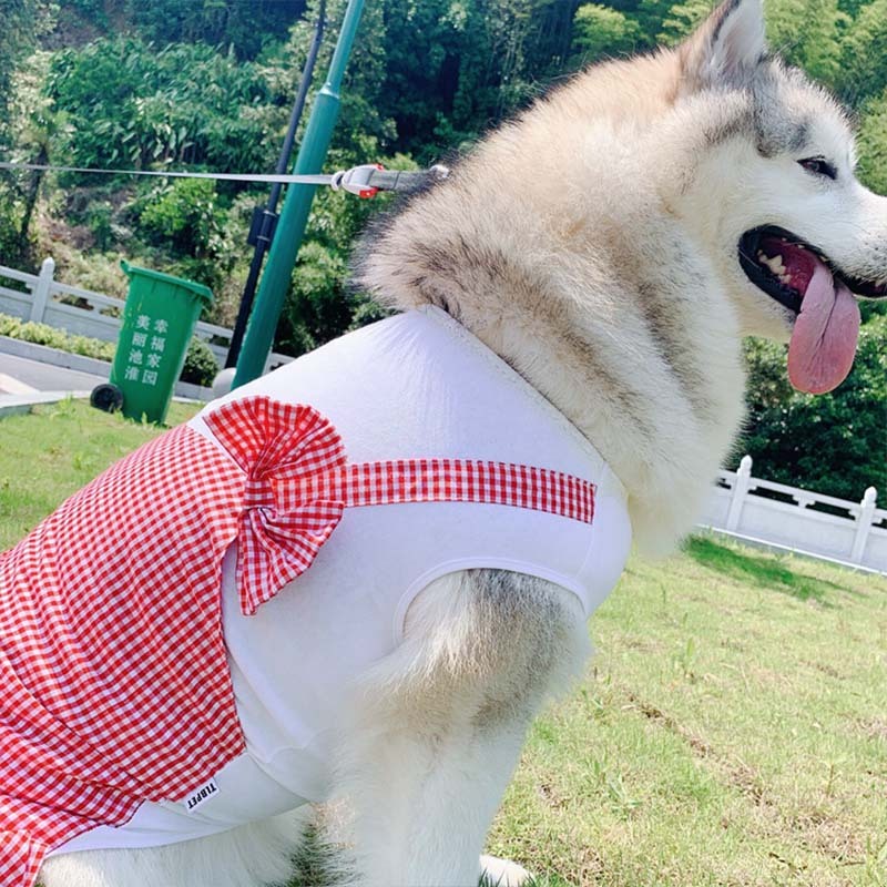 Dog Clothes Princess Dog Costume Labrador Golden Retriever Big Dog Clothes – Image 2
