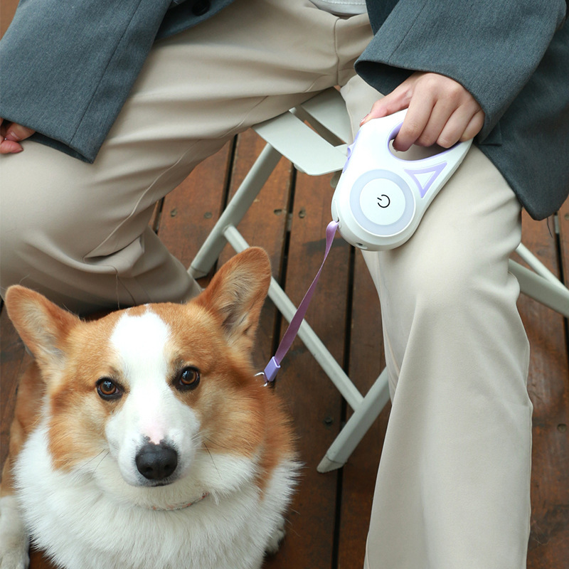 Dog Leash Retractable Leash And Dog Collar Spotlight Automatic Pet Dog Cat Traction Rope For Small Medium Dogs Pet Product – Image 2