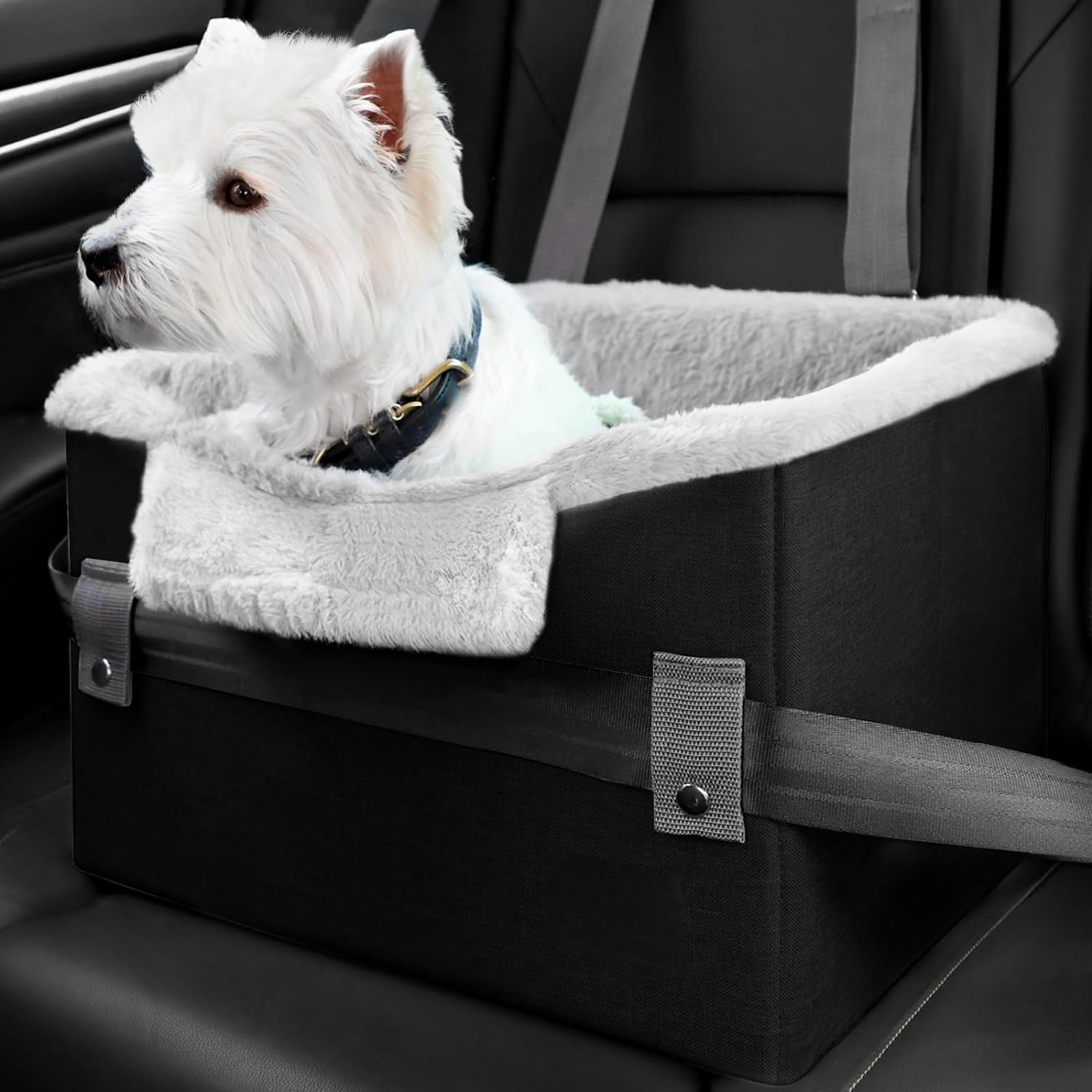 Portable Small Dog Car Seat Dog Booster Seat For Car With Clip-On Safety Leash Perfect For Small Pets Pet Products – Image 7
